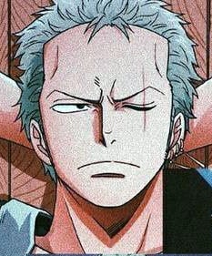 one-piece-roronoa-zoro-27