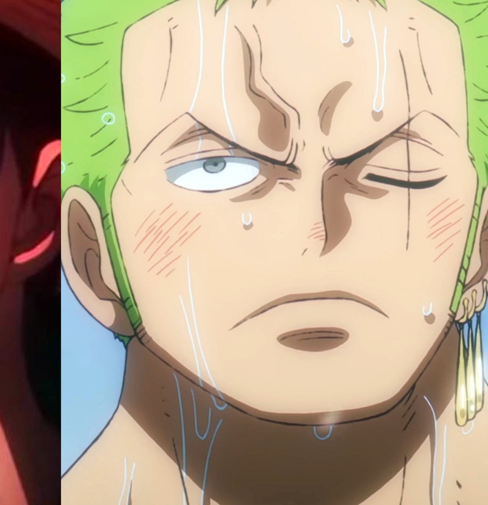 one-piece-roronoa-zoro-31