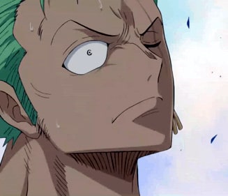 one-piece-roronoa-zoro-36