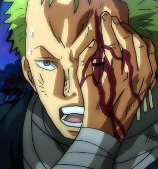 one-piece-roronoa-zoro-38