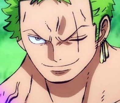 one-piece-roronoa-zoro-40