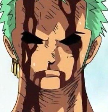 one-piece-roronoa-zoro-41