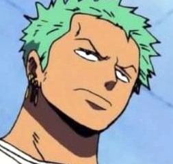 one-piece-roronoa-zoro-59
