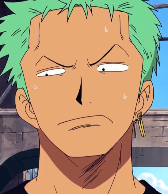 one-piece-roronoa-zoro-64