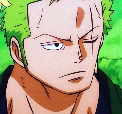 one-piece-roronoa-zoro-65
