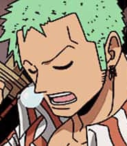 one-piece-roronoa-zoro-8