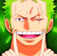 one-piece-roronoa-zoro-86