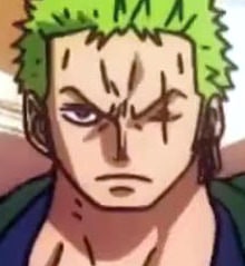one-piece-roronoa-zoro-88