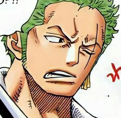 one-piece-roronoa-zoro-91