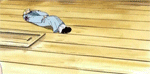 OnePiece-SanjiVerSpinningAnimated