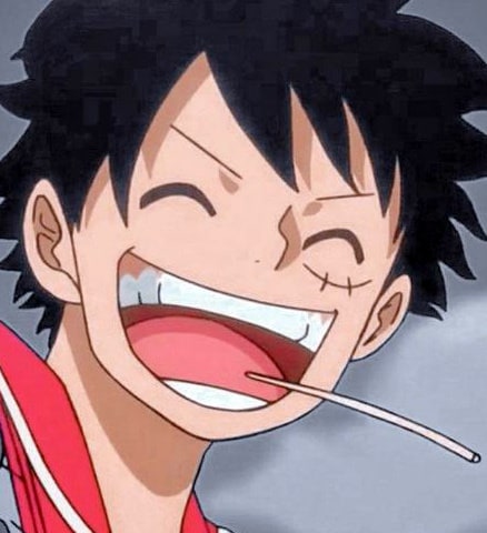 one-piece-moar-pfp-136