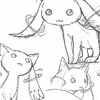 puella-madoka51