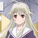saki-336