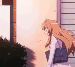 toradora-animated-36