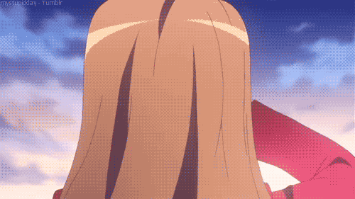 toradora-lmcc80I30V1qgn5ogo1_500_large