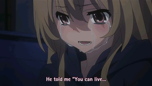 toradora-lpat7qNlBW1qk1fk3o1_500_large