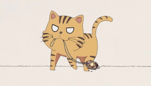 toradora-m46pjqbDy71qei10oo1_500_large