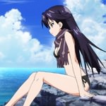 vividred-operation-160